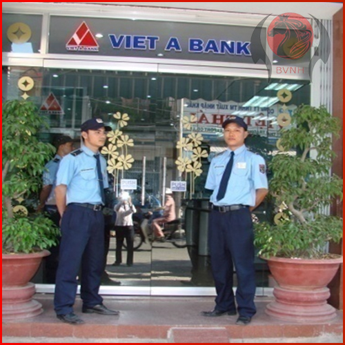 Bảo vệ mục tiêu cố định